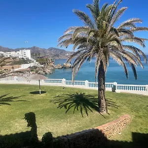 https://palmeras-8-menyber.hotelsinnerja.org